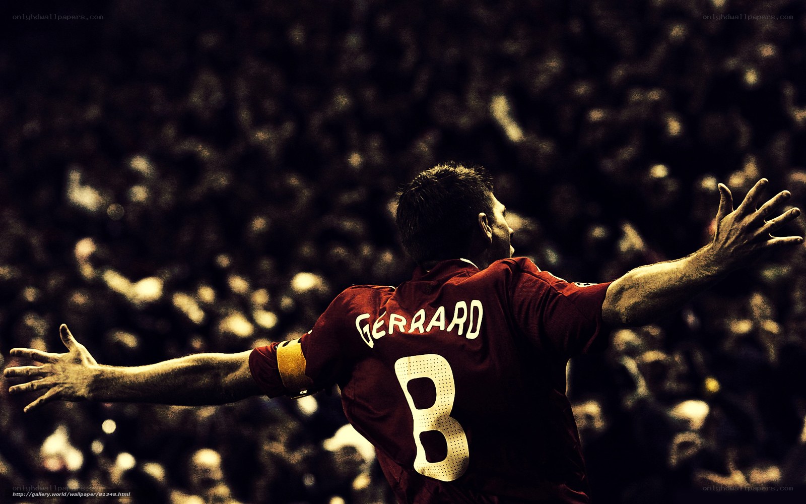 Gerrard celebrates goal