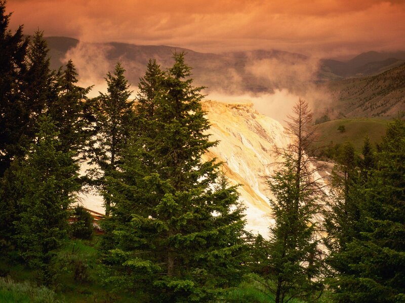 geyser at sunset with trees