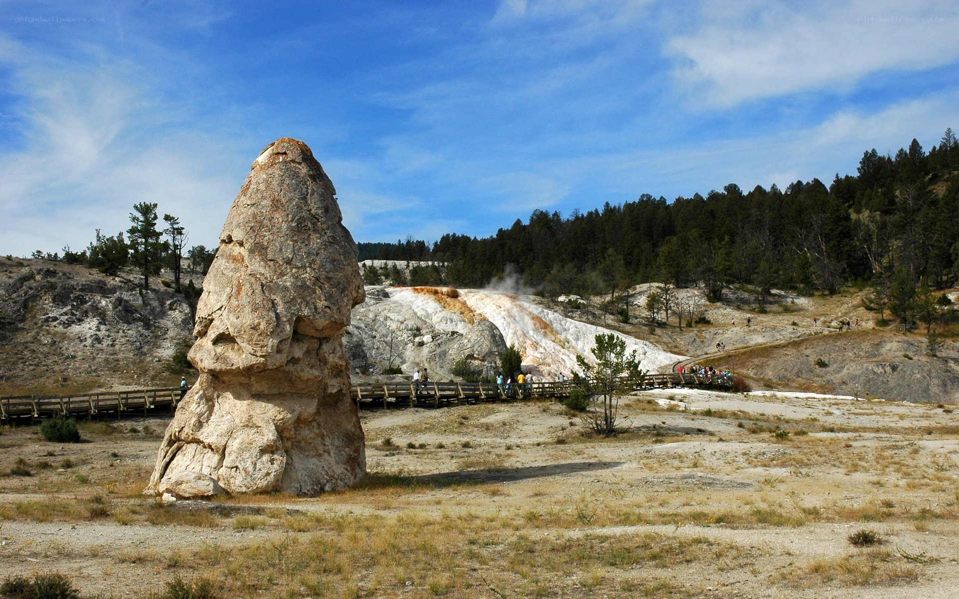 geyser cone in yellowstone
