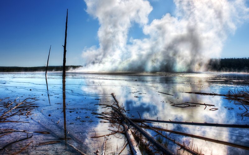 Geyser Erupting in Wetland