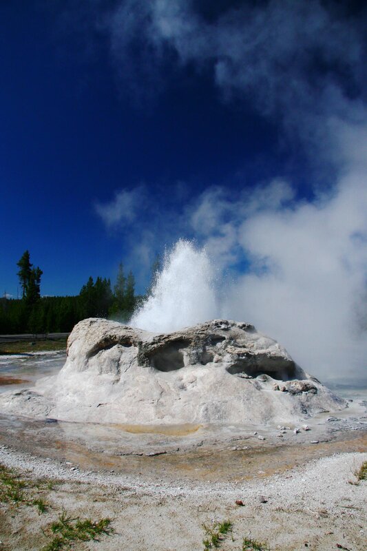 Geyser erupting in Yellowstone