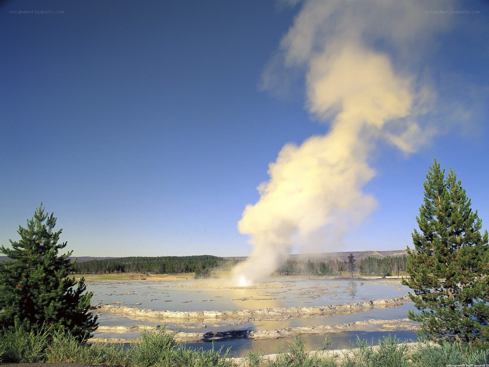 Geyser erupting in Yellowstone
