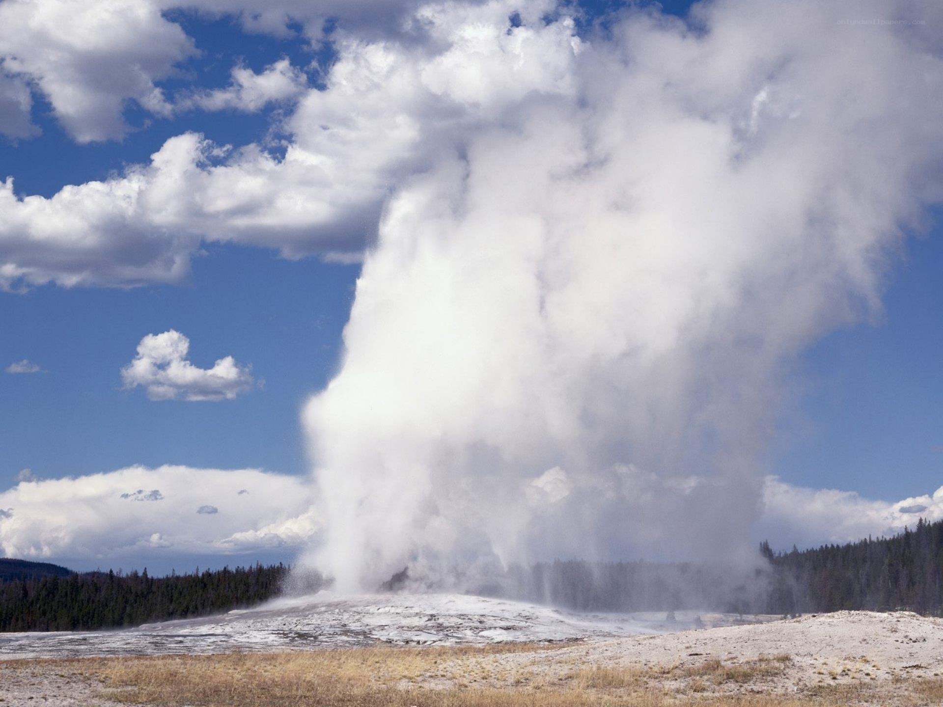 Geyser erupting in Yellowstone