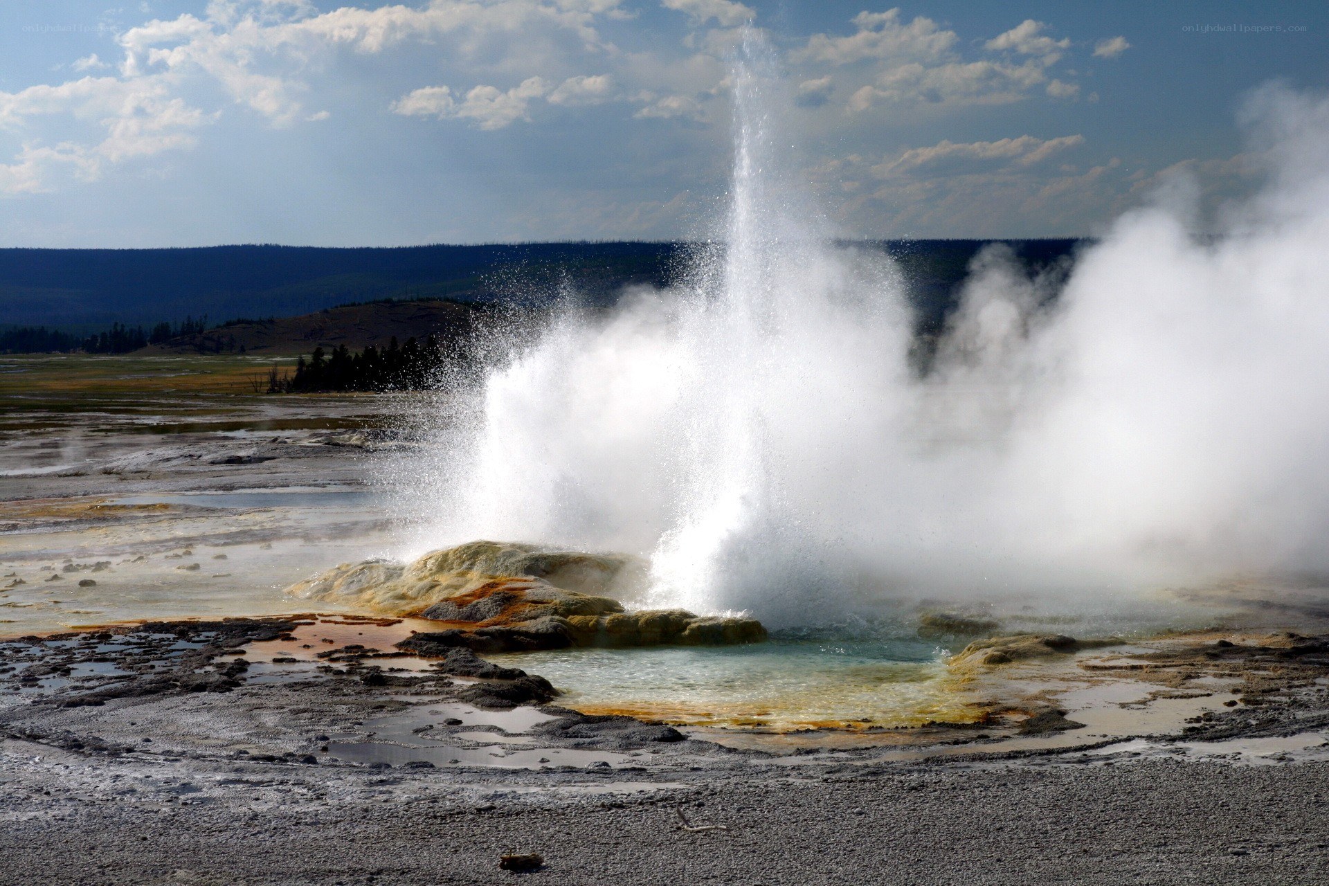 Geyser erupting in Yellowstone