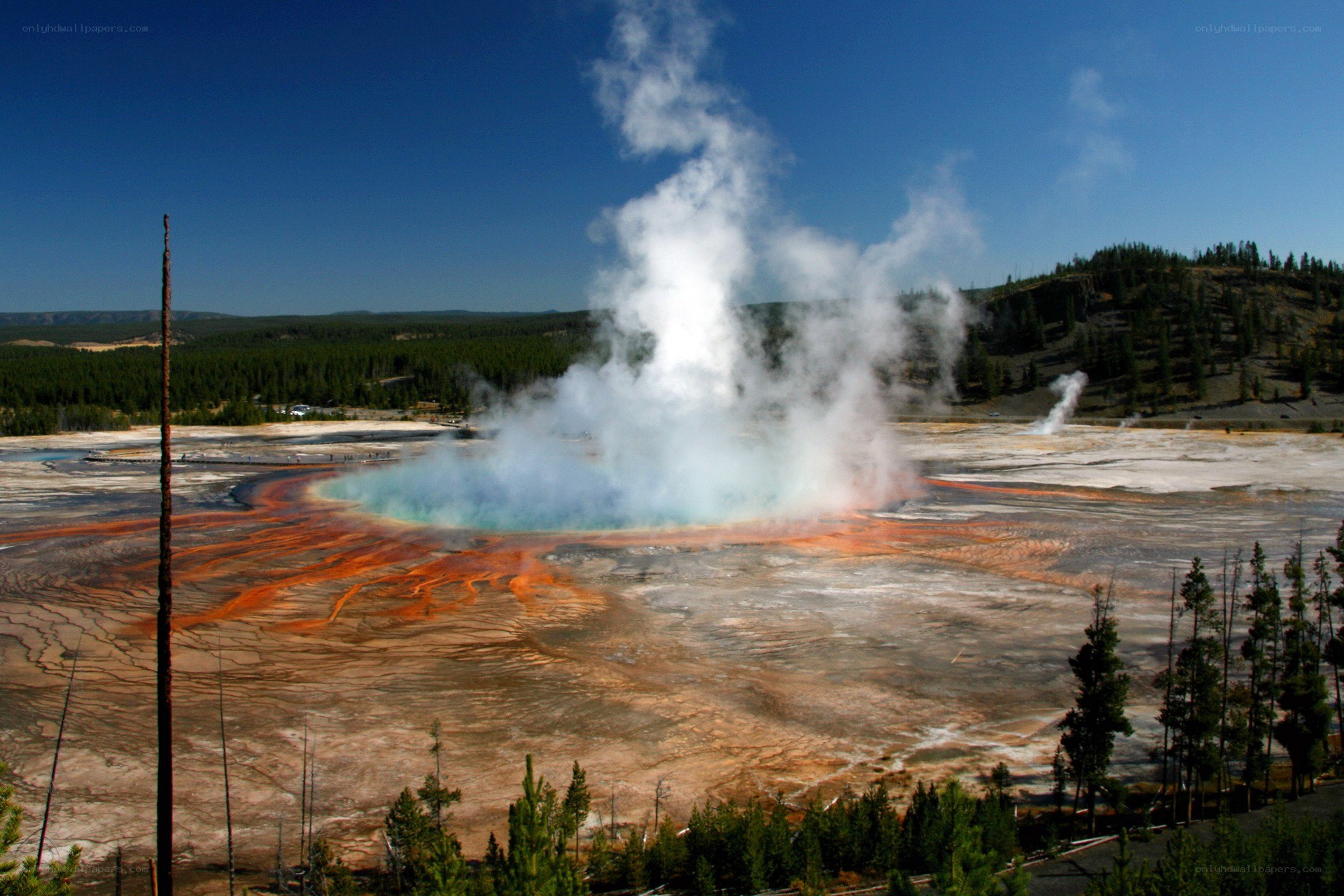 Geyser erupting in Yellowstone