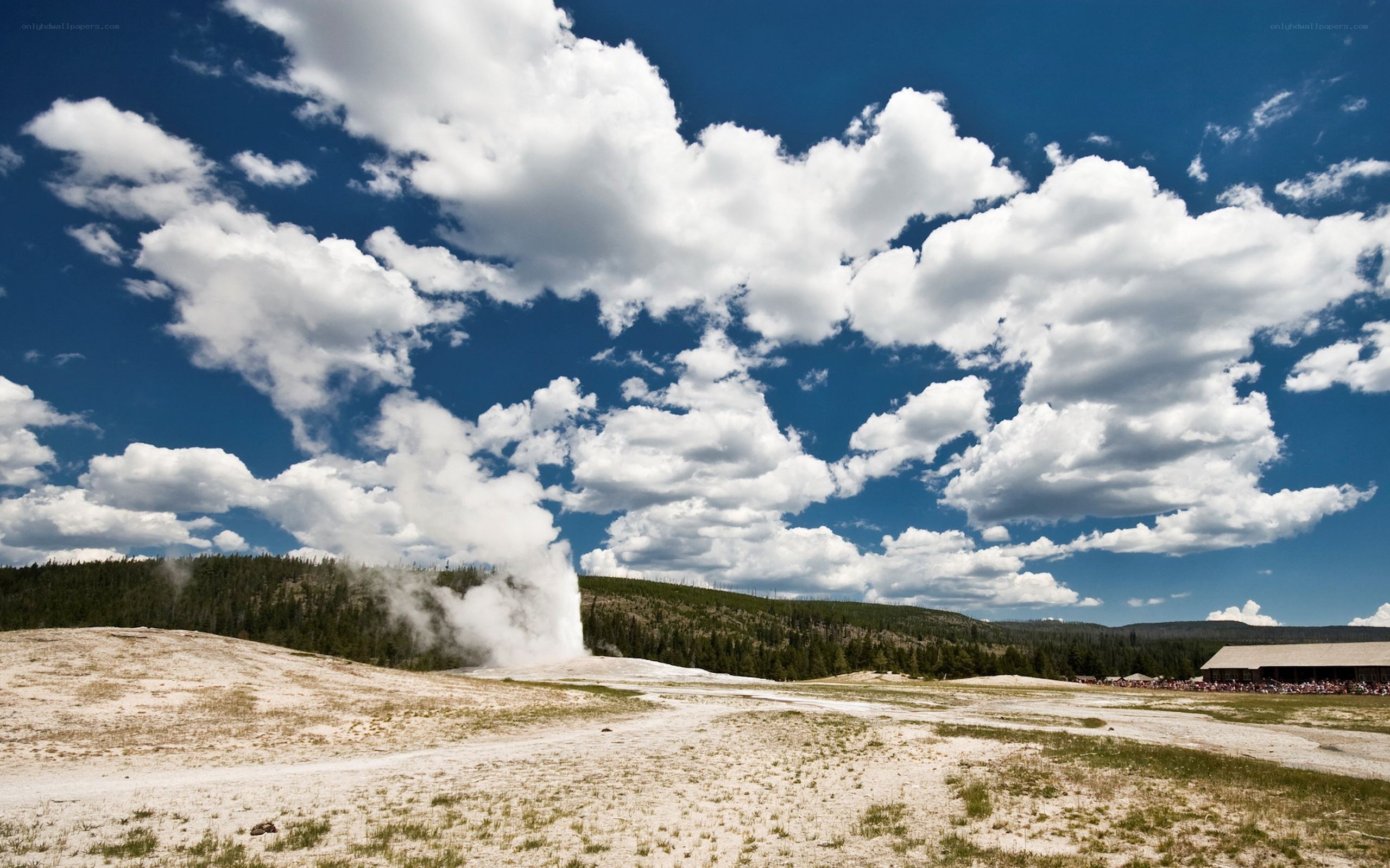 Geyser erupting in Yellowstone
