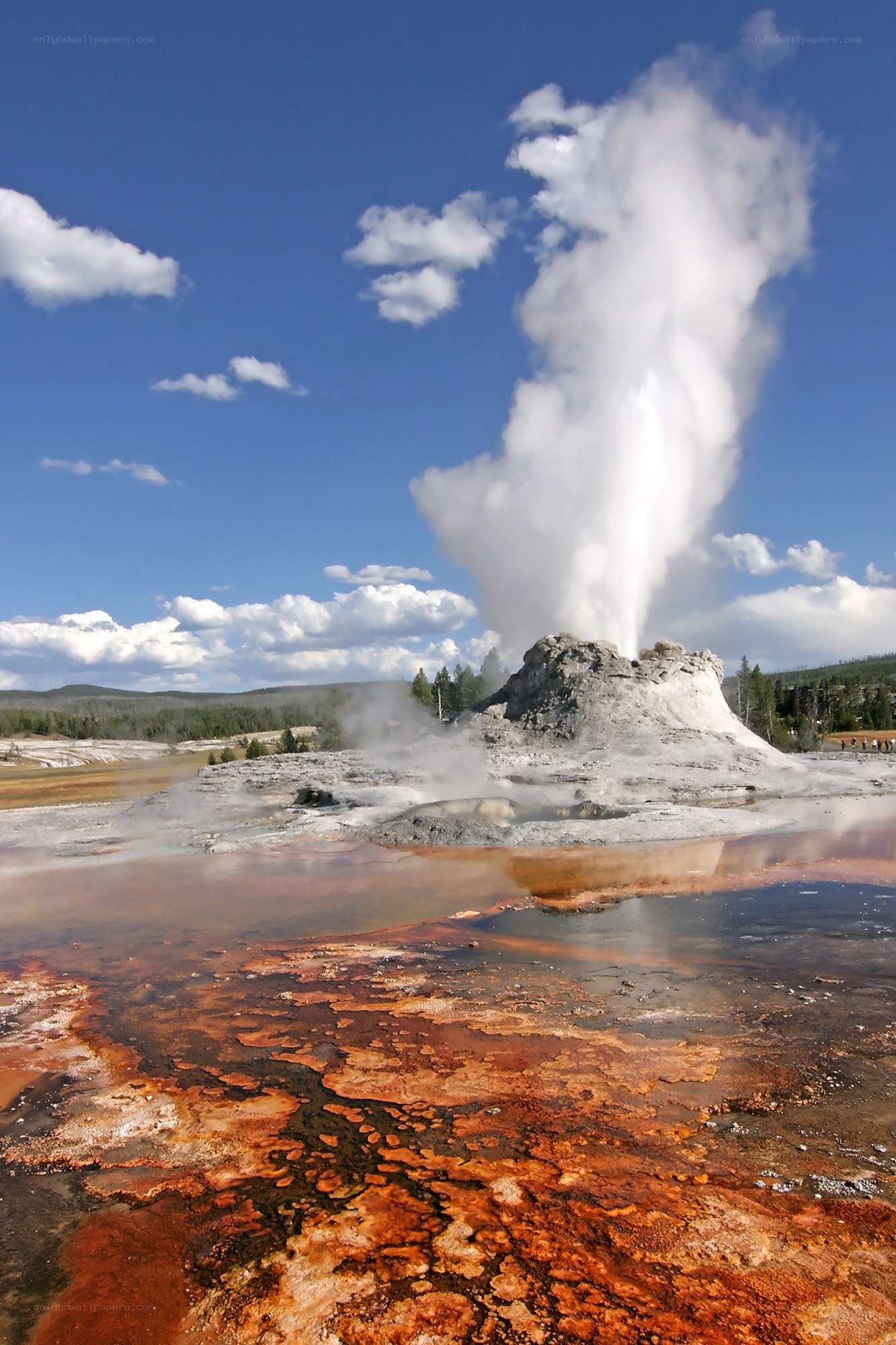 Geyser erupting in Yellowstone