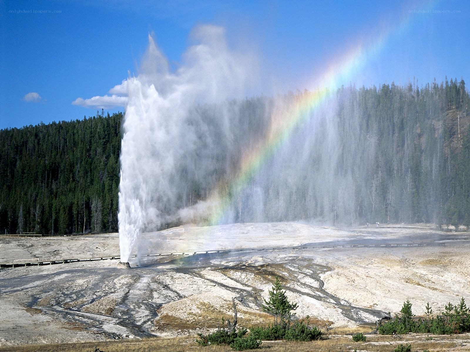Geyser eruption with rainbow