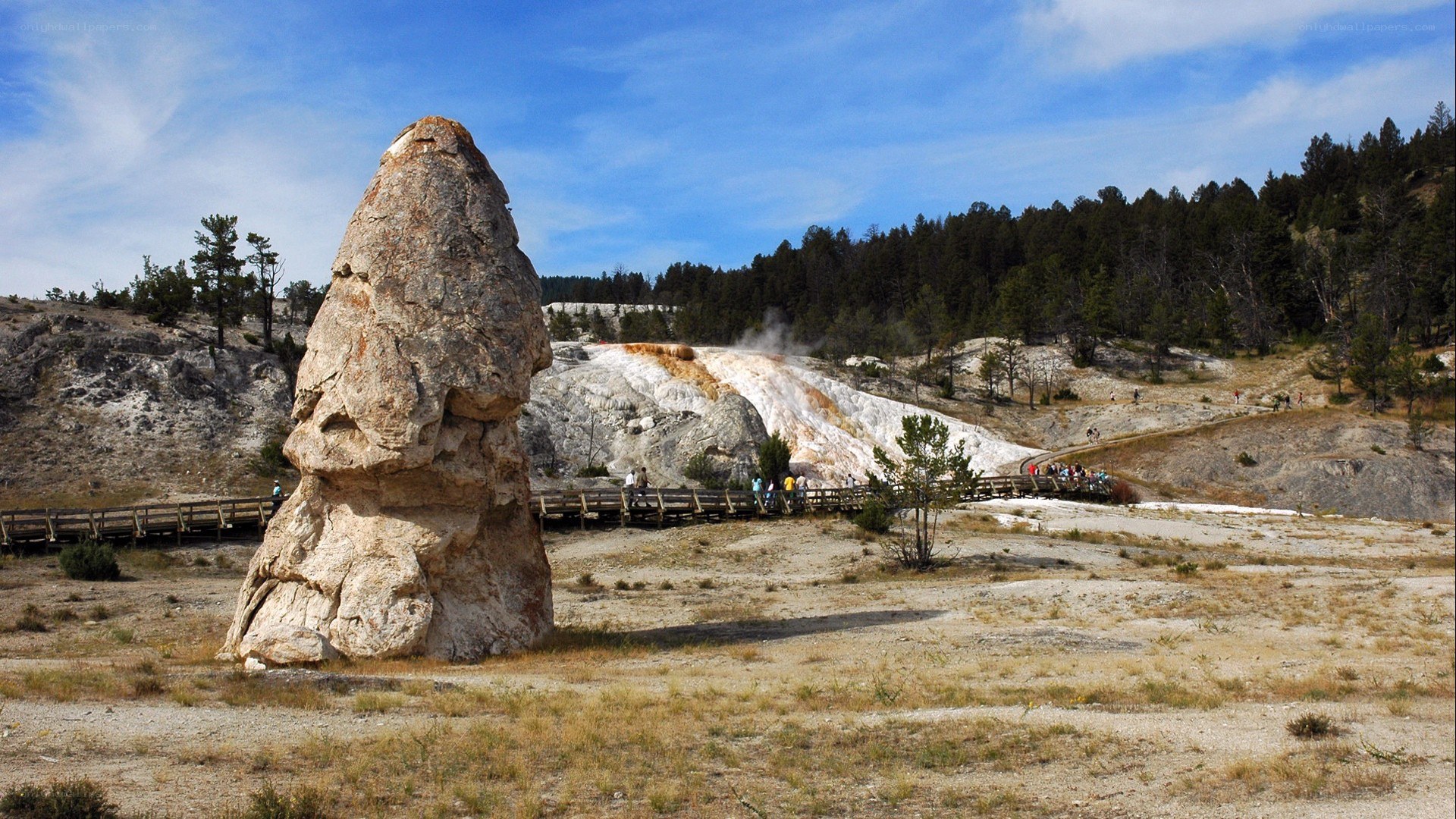 geyser formation in yellowstone