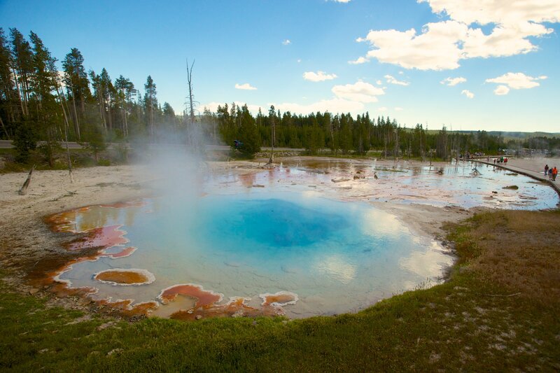 Geyser in Forest — Blue