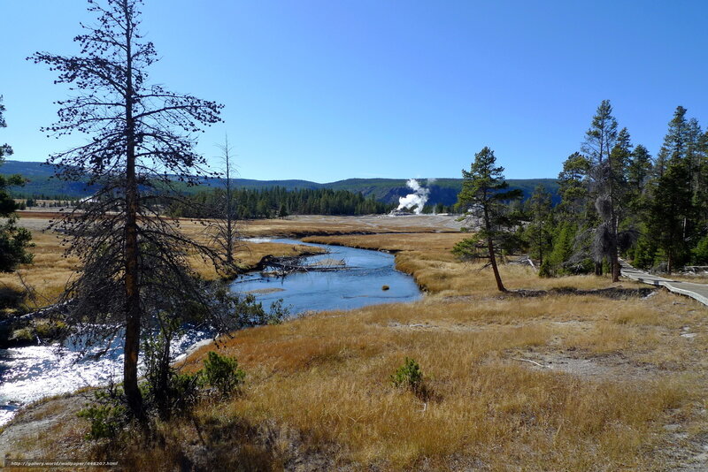 geyser in yellowstone national park