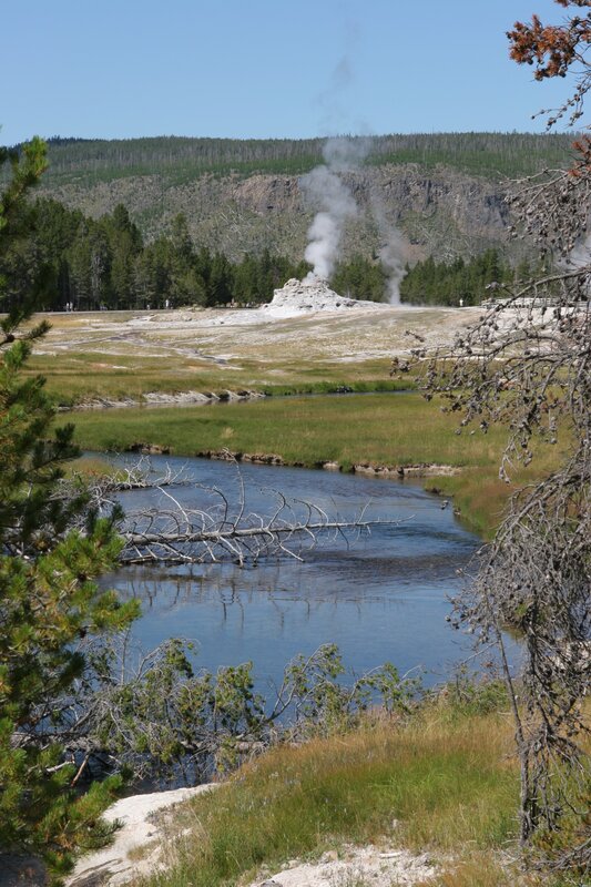 Geyser in Yellowstone