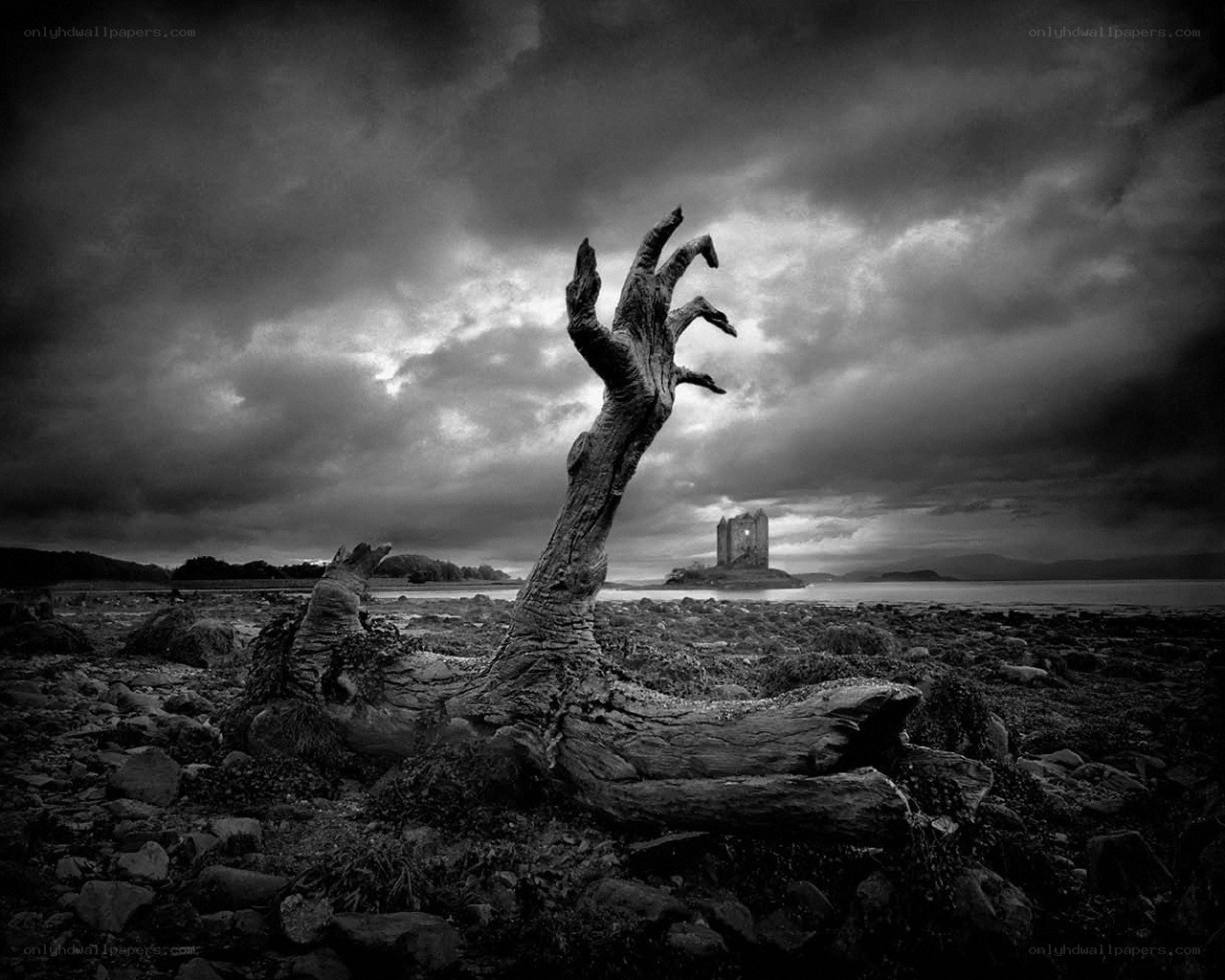 Ghastly hand from the shore