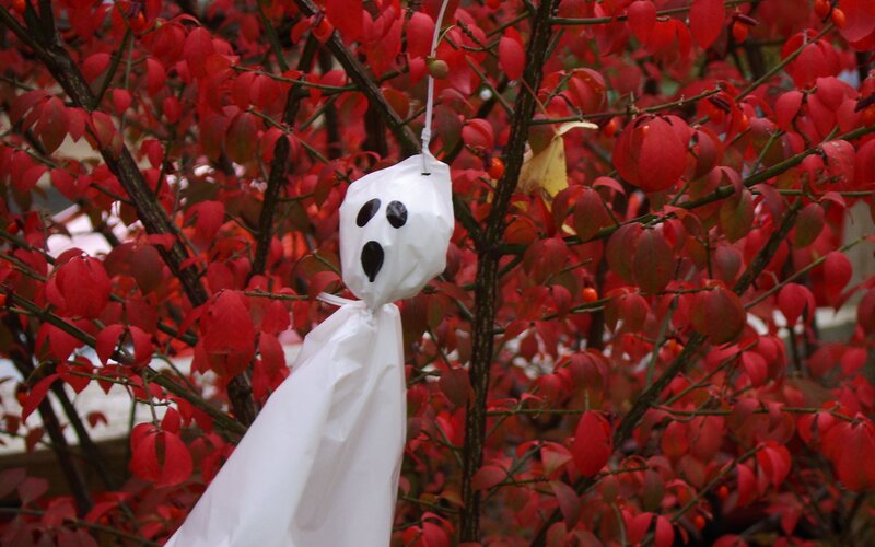 Ghost decoration in red leaves