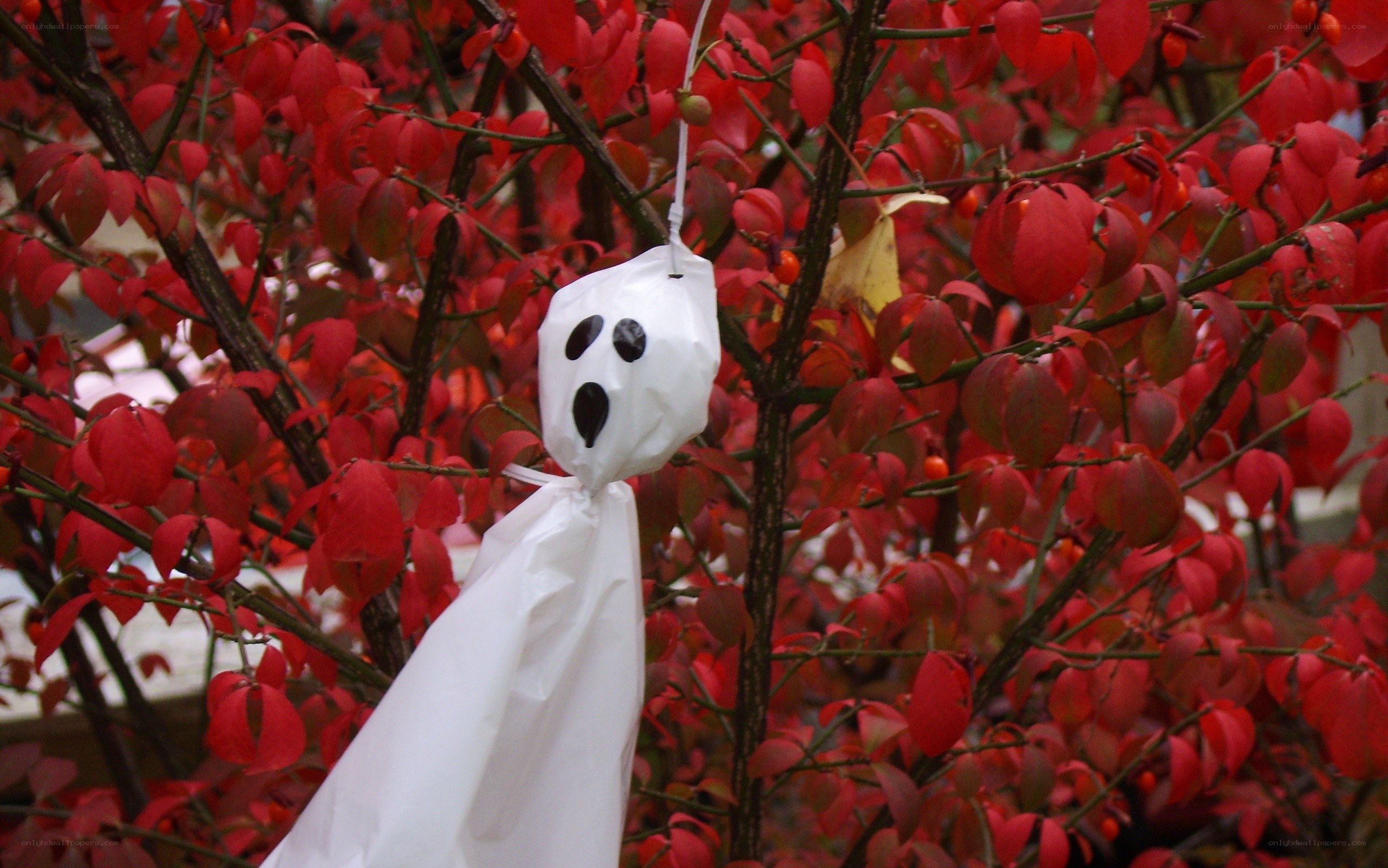 Ghost decoration in red leaves