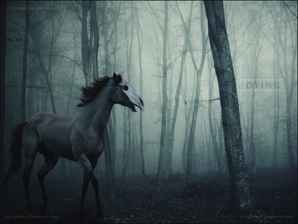 ghost horse in misty forest