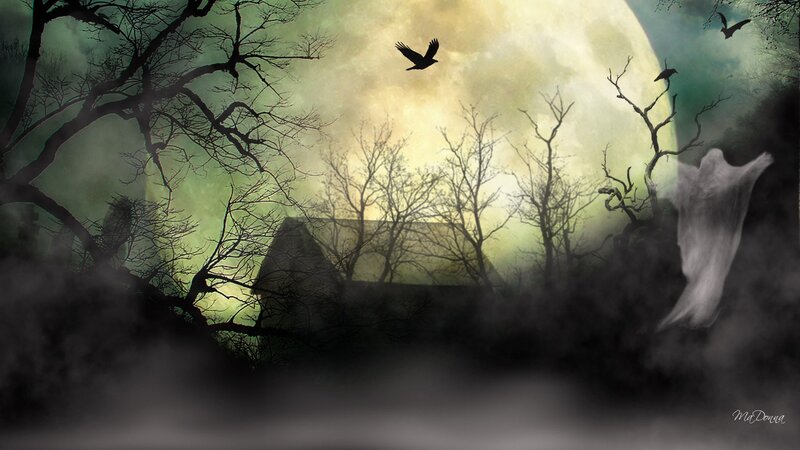 Ghost in a Haunted Forest