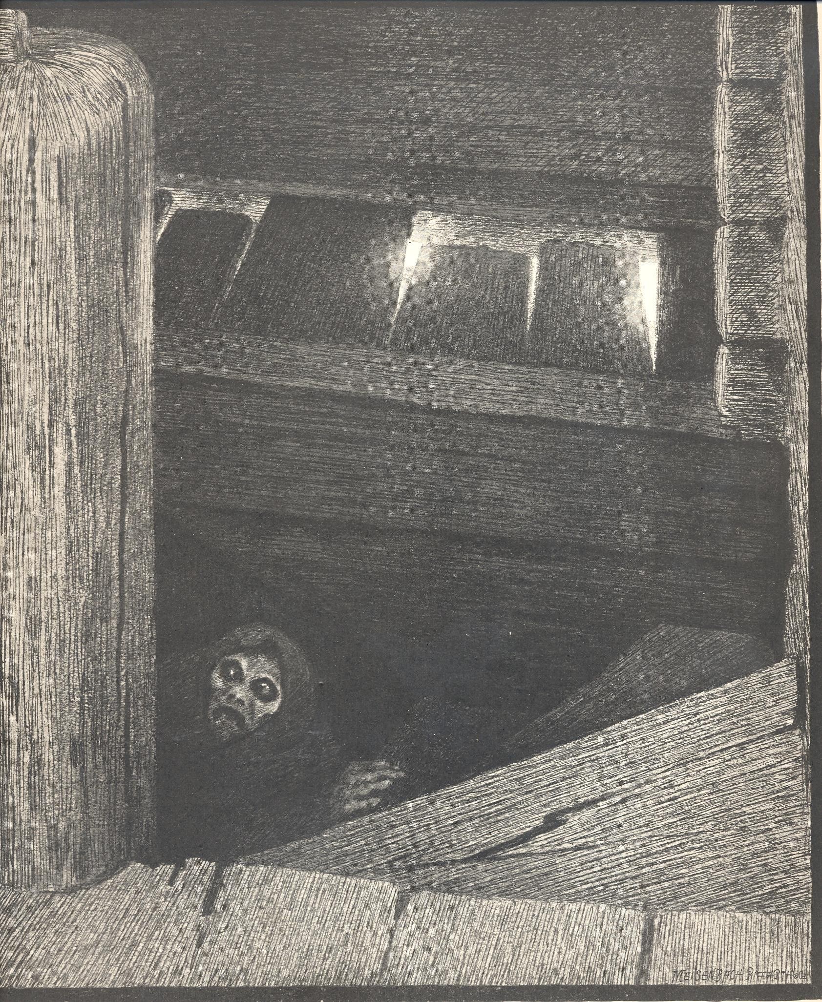 Ghost in the attic