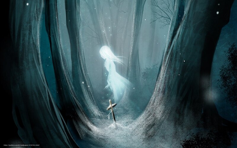 Ghost in the misty forest