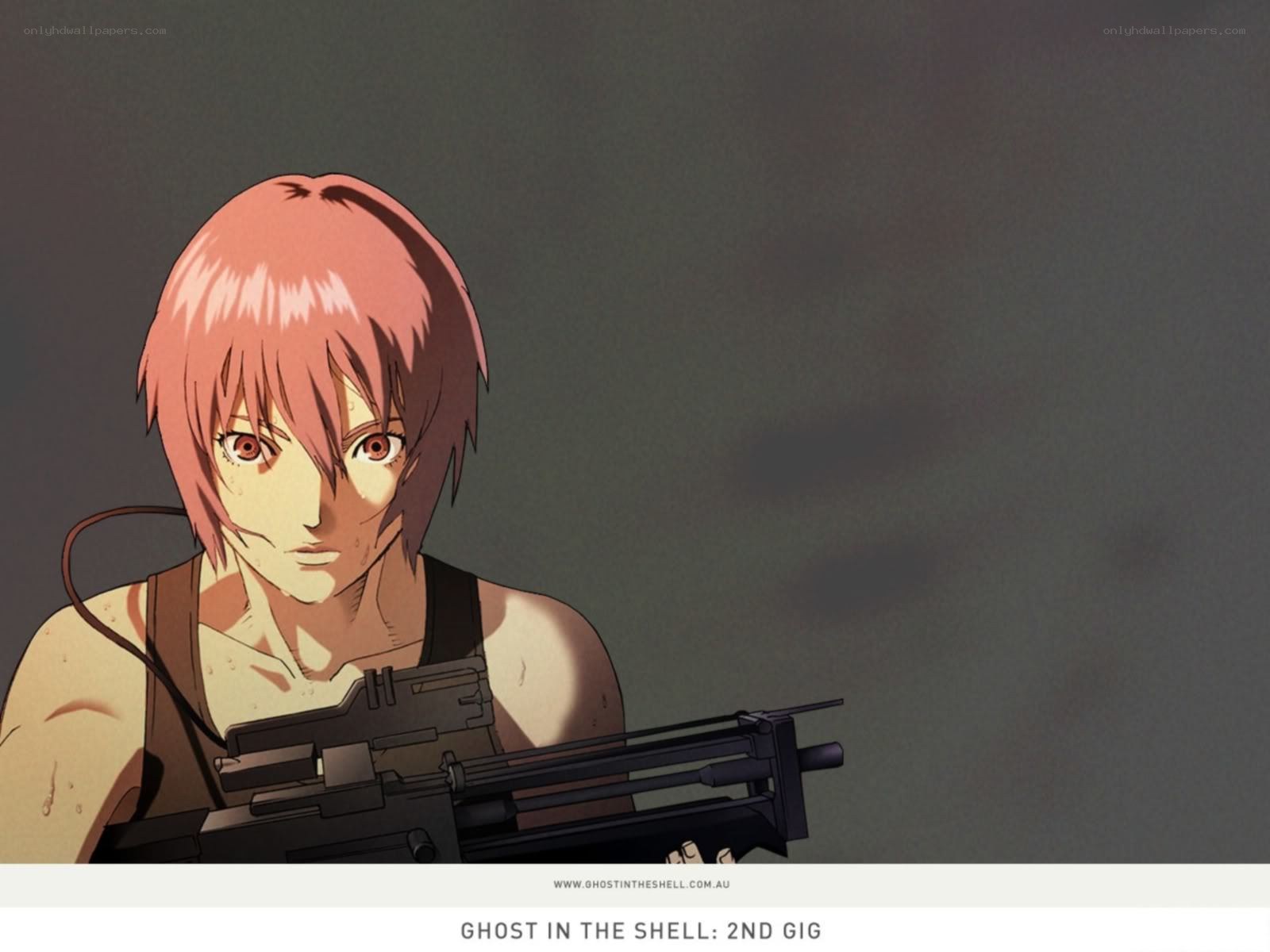 Ghost in the Shell: 2nd Gig