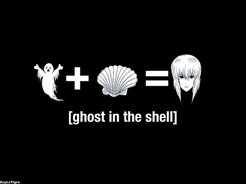 ghost in the shell equation