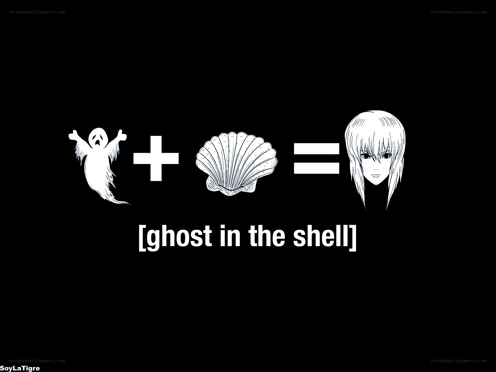 ghost in the shell equation