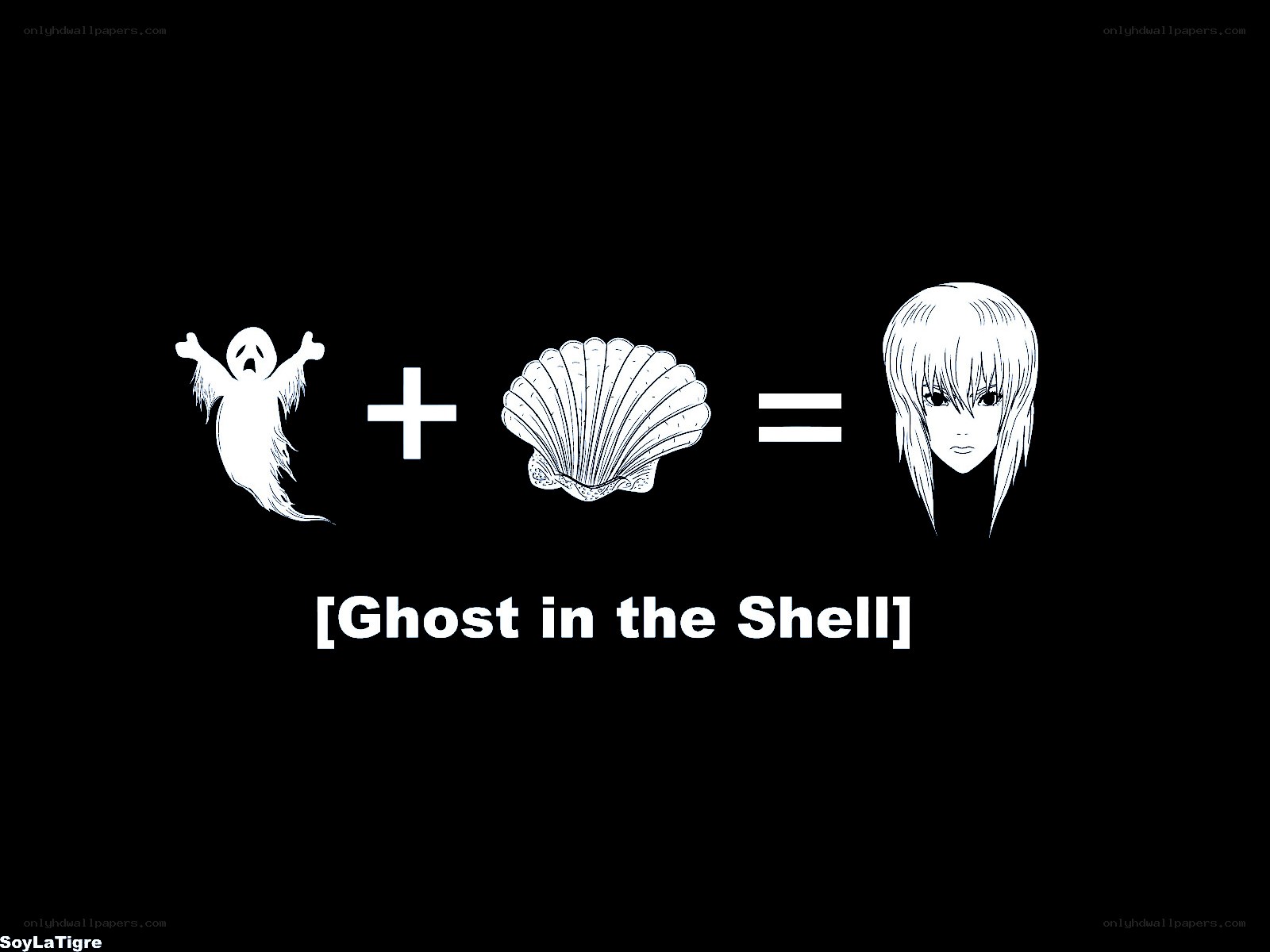 Ghost in the Shell equation
