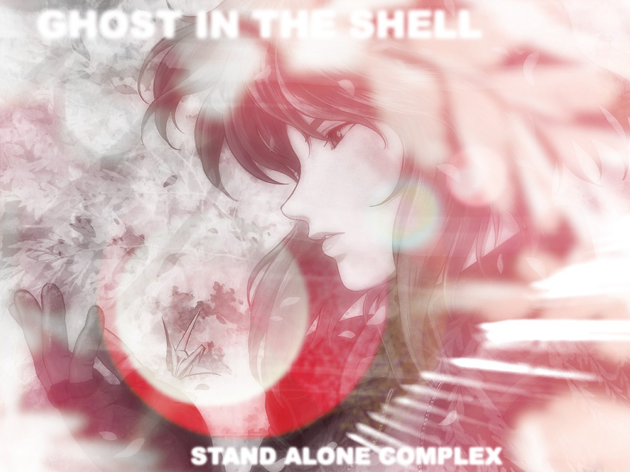 Ghost in the Shell: Stand Alone Complex