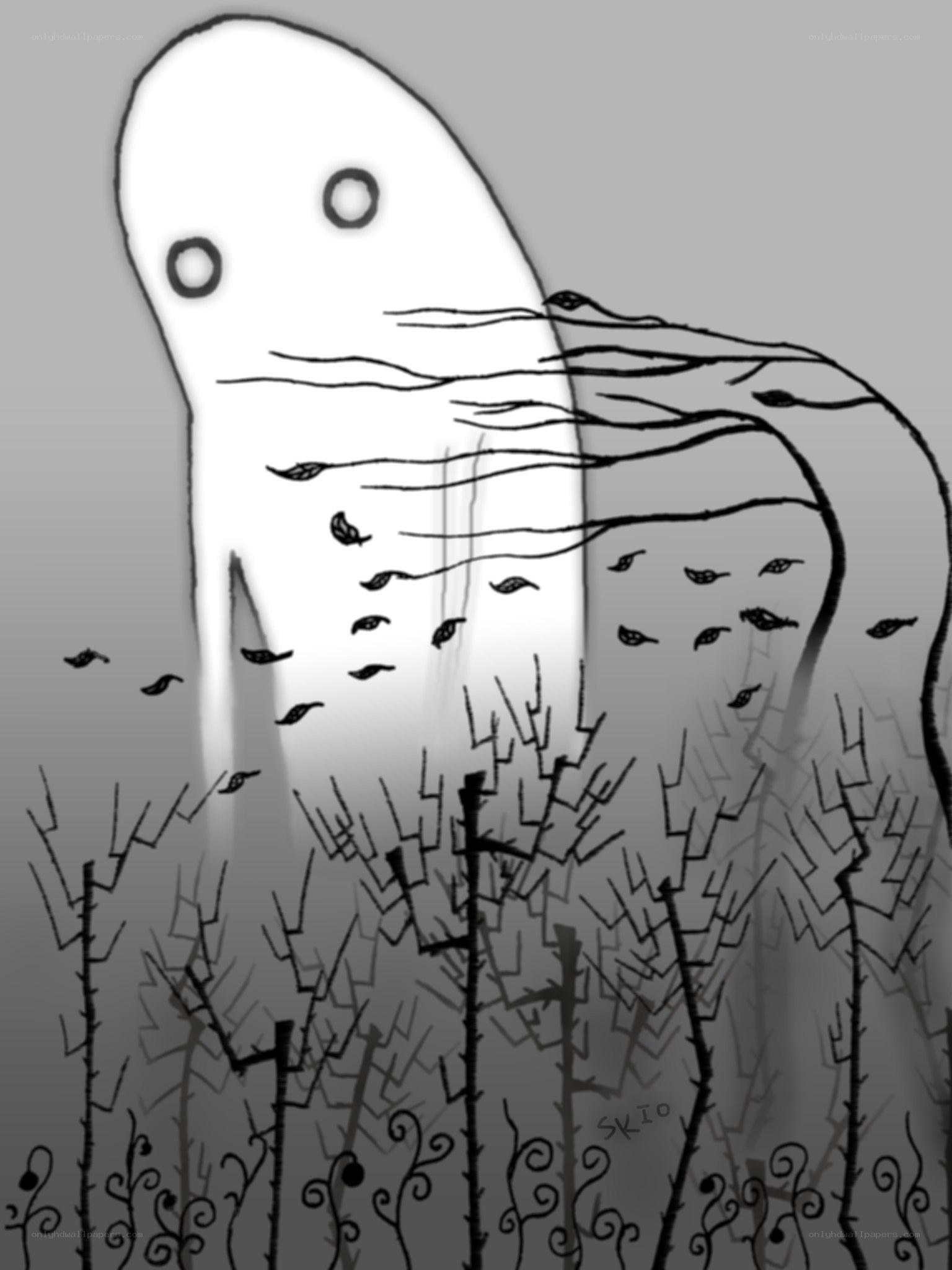 ghost in the thicket