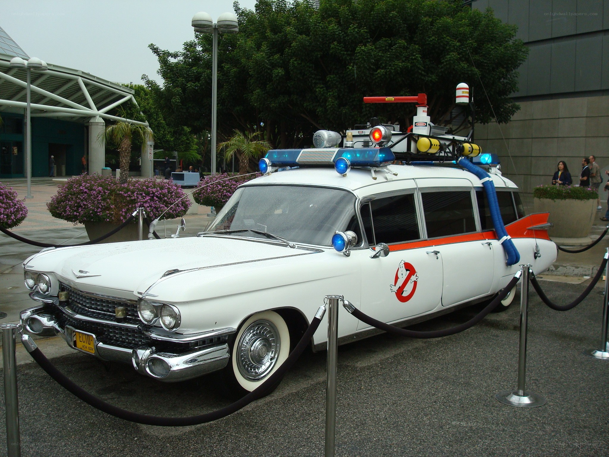 Ghostbusters Ecto-1 car