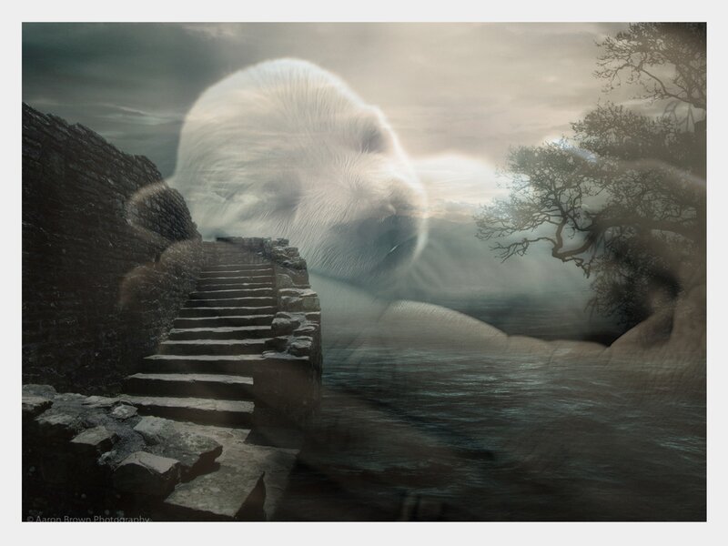 ghostly dog on stone steps
