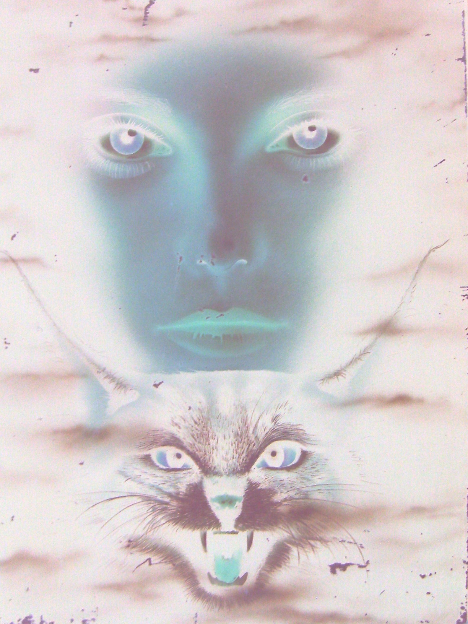 ghostly face and cat hybrid