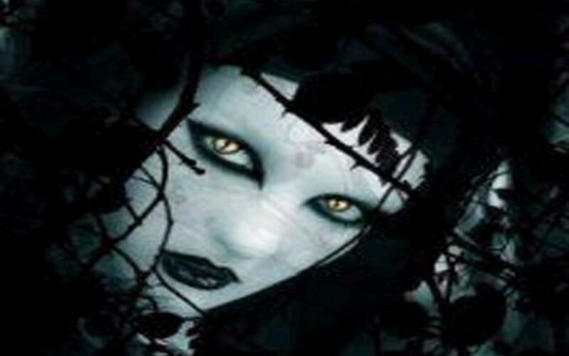 ghostly face behind branches