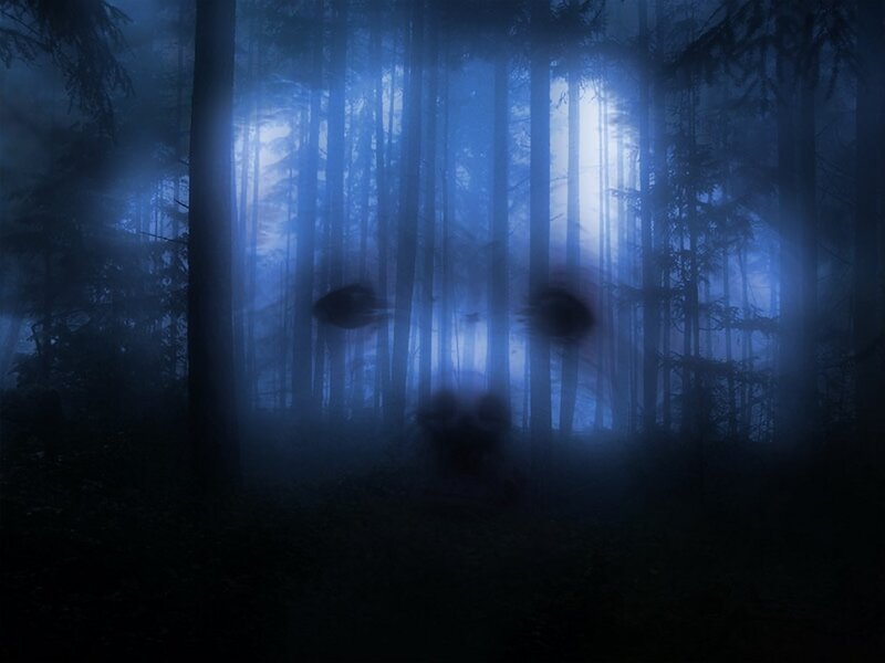 ghostly face in misty forest