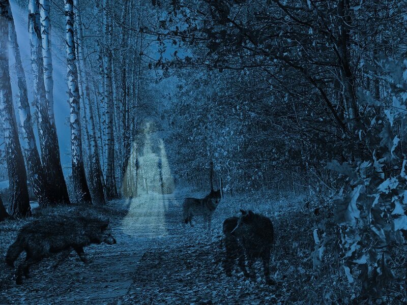 ghostly figure in forest with wolves
