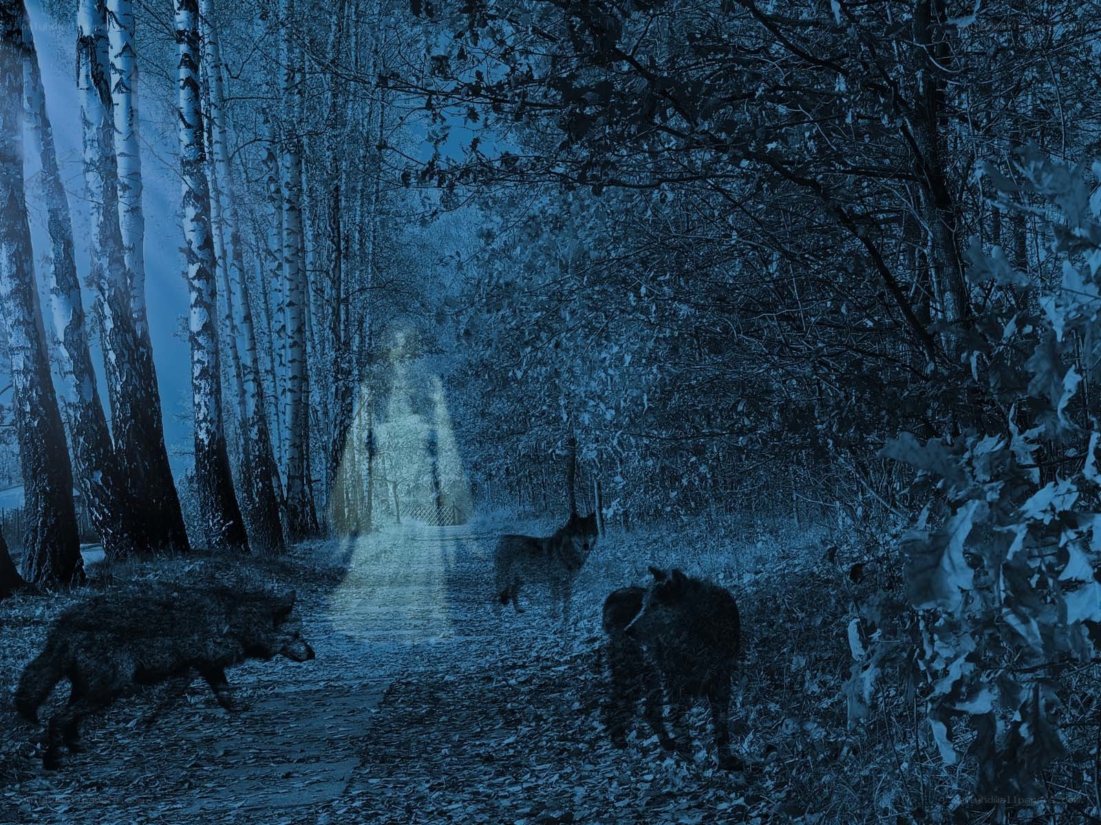 ghostly figure in forest with wolves