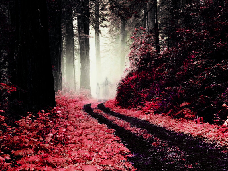 Ghostly Figures in Forest — Red