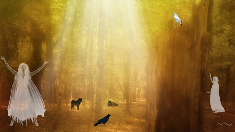 Ghostly Figures in Forest