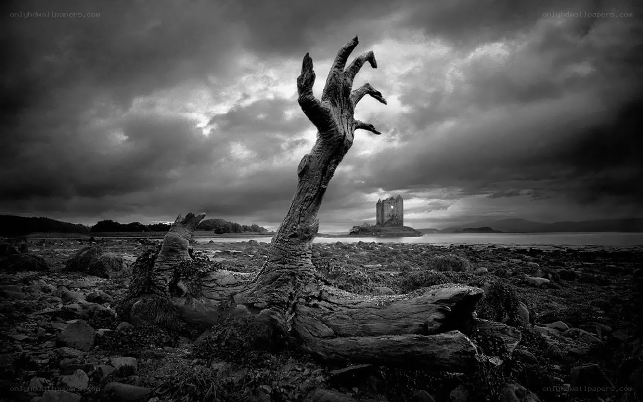 Ghostly hand on rocky shore