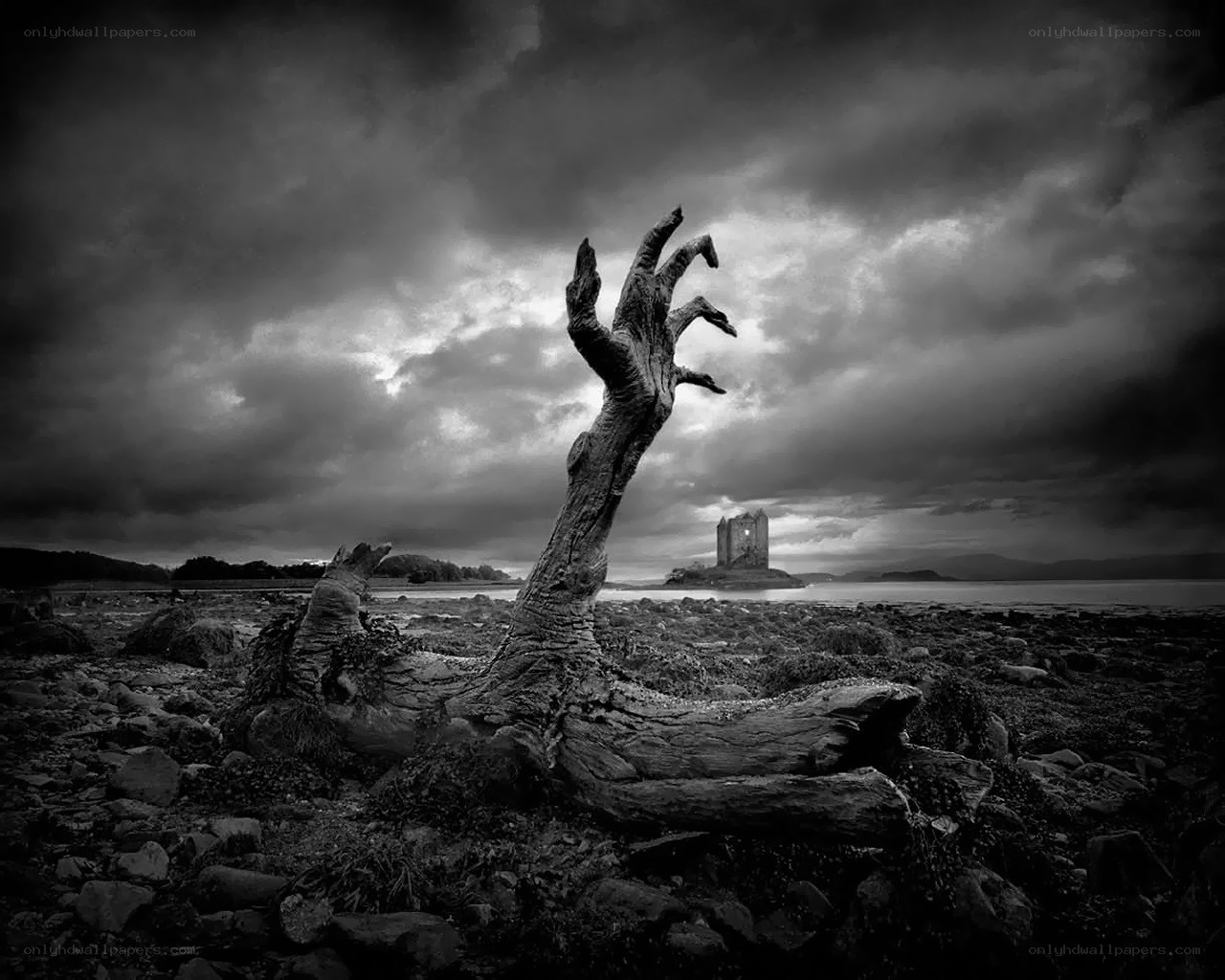 Ghostly hand on rocky shore