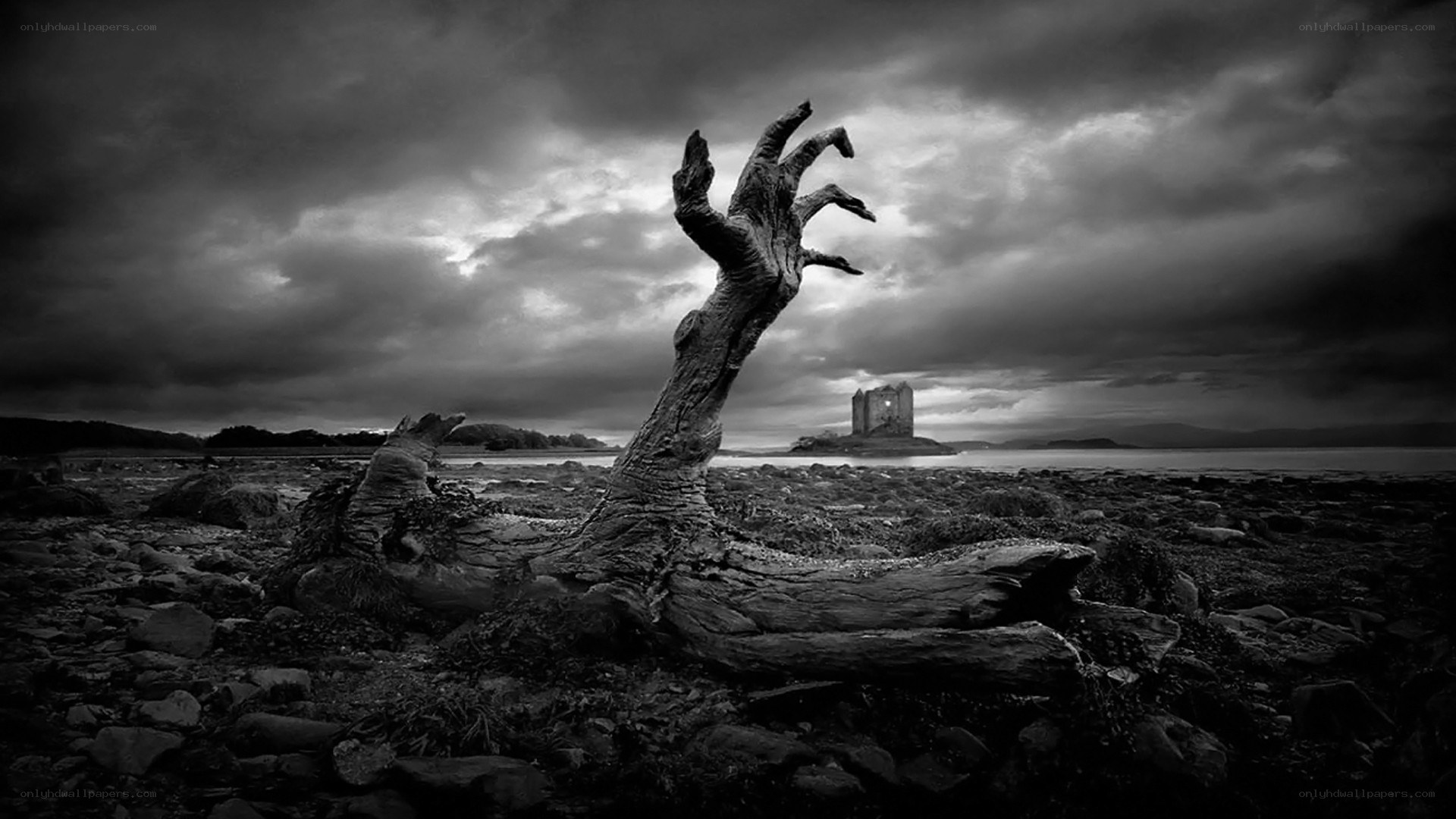 Ghostly hand rises from the shore