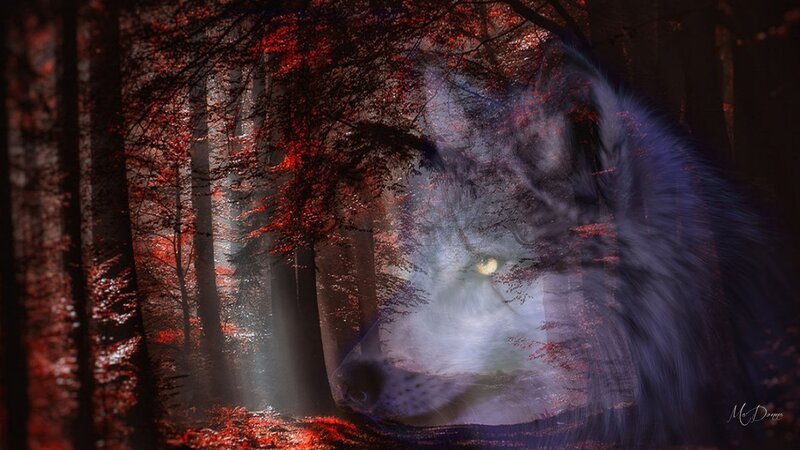 Ghostly Wolf in Forest — Red