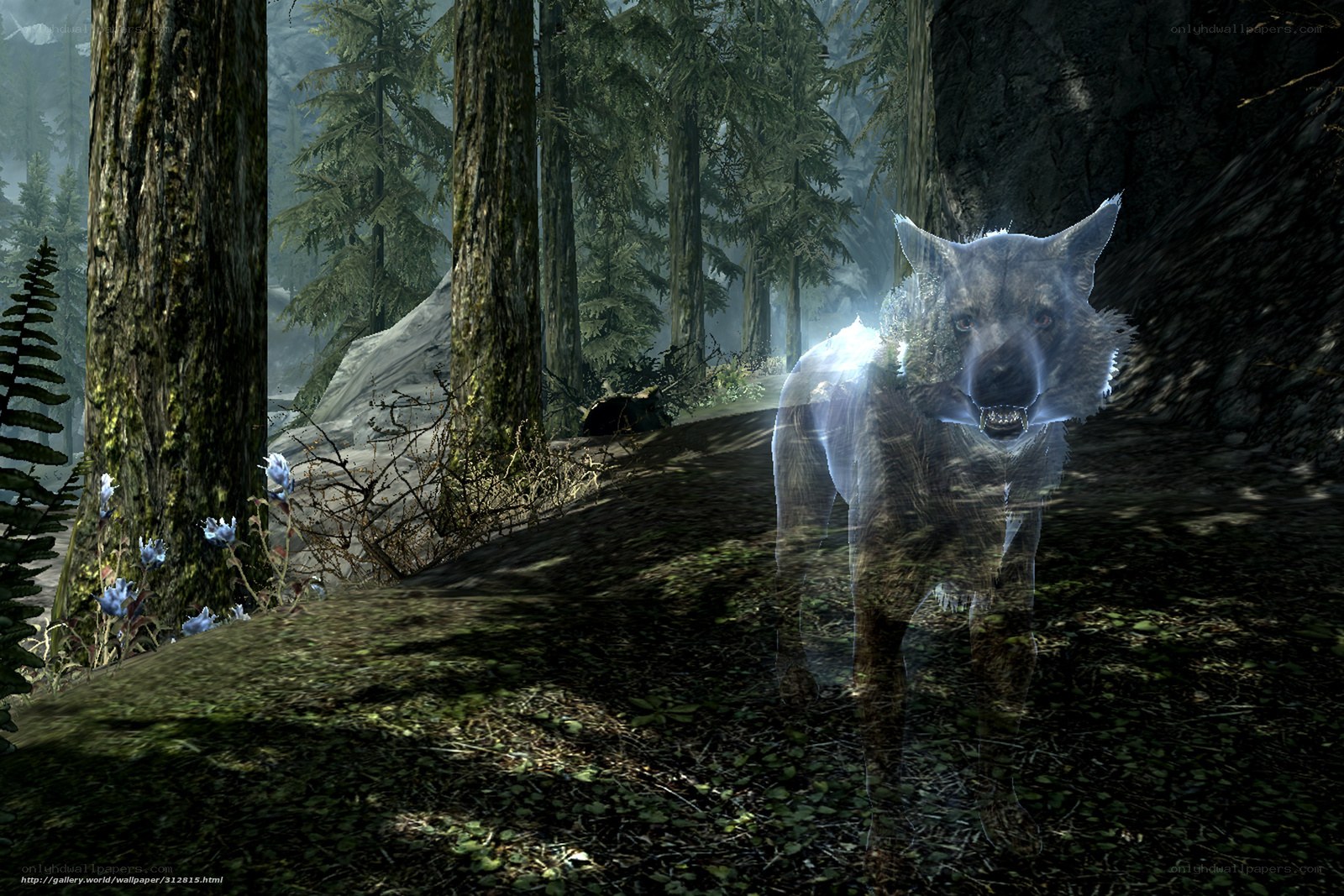 Ghostly wolf in forest