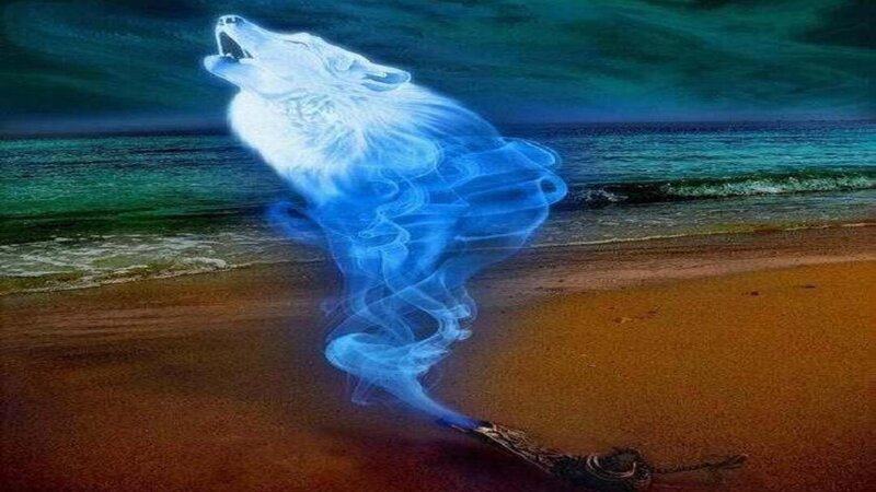 Ghostly Wolf on Beach — Blue