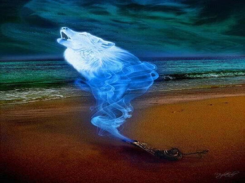 Ghostly Wolf on Beach