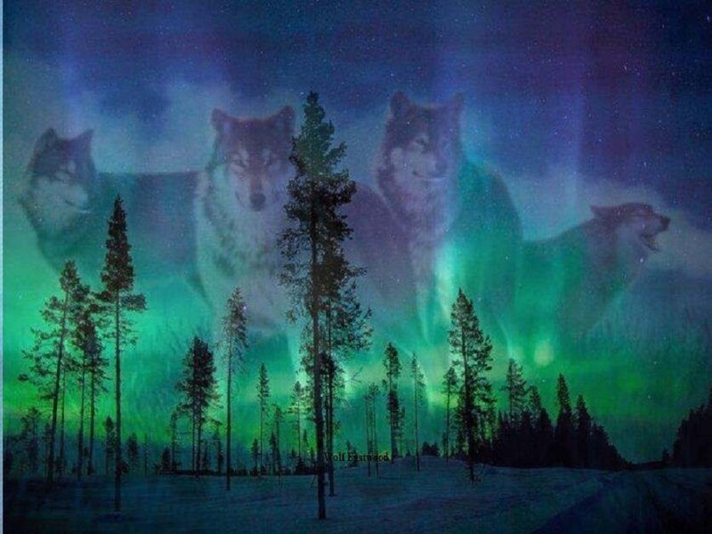 Ghostly Wolves in Aurora