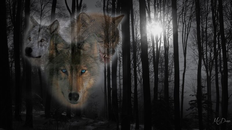Ghostly Wolves in Forest