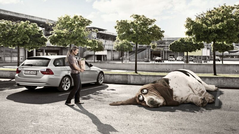 Giant Basset Hound