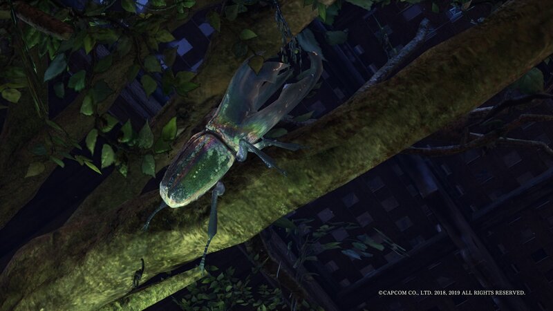 Giant Beetle on Tree Branch