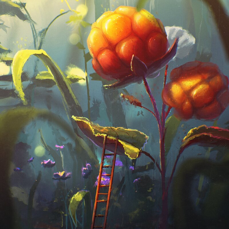 Giant Berries in Forest